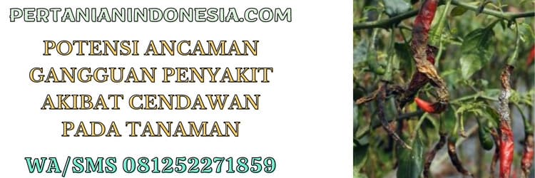potensi,ancaman,gangguan,penyakit,cendawan,jamur